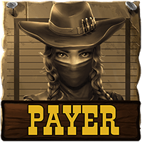 PAYER